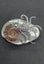 Ammonite fossil brooch - with small crystal beginning formations Carousel 3
