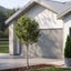 gallery view thumbnail
