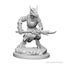 Kobolds: D&D Nolzur's Marvelous Unpainted Miniatures (W1) 100D&D Carousel 1