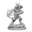 Kobolds: D&D Nolzur's Marvelous Unpainted Miniatures (W1) 100D&D Carousel 3