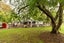 gallery view thumbnail