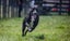 ADOPTED **Carlos** Diego's Rescue Carousel 4