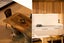 gallery view thumbnail