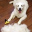 Pet Hair Removal Brush Deshedding Tool for Cats Dogs Grooming Comb Fur Remover Carousel 3