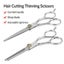2pcs 6" Salon Hairdressing Scissors Hair Barber Shears Cutting Thinning Tool Set Carousel 3