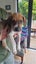 Beautiful Family/Hunting Pups Carousel 2