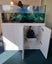 COMPLETE TURTLE SET UP + BFF Carousel 17