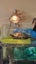 COMPLETE TURTLE SET UP + BFF Carousel 18