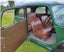 gallery view thumbnail