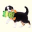 Frog Shape Dog Toy Interactive Fun Game Green Frog Dog Chew Toy with Sound Carousel 3