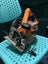 AEG 18V Brushless 7 1/4" Circular Saw BKS18B Carousel 3