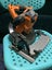 AEG 18V Brushless 7 1/4" Circular Saw BKS18B Carousel 16