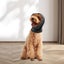 Pet Cat Dog Ears Cover Reduce Noise Barking Anxiety Relief Snood Warm Protector Carousel 11