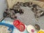 "9 Tabbies" - Spot Rescue Carousel 3