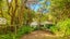 gallery view thumbnail