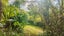 gallery view thumbnail