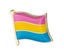 Pansexual pride flag LGBTQIA+ Carousel 3