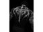Gothic Print Muscle Tee For Men's Bodybuilding Training Carousel 2
