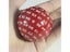 100 Sided Polyhedral Acrylic Dice With Bag For Role Playing Games Carousel 6