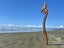 “Tui and Koru 1.65m” Garden Art by Pete Collins Carousel 2