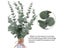 Artificial Plants Eucalyptus Leaves For Home Decor Party Wedding Carousel 4