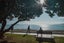 gallery view thumbnail