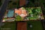 gallery view thumbnail