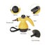 Steam Cleaner Carousel 5