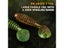5cm 15pcs UV Isca Artificial Silicone Shad Soft Baits Carousel 6