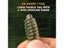 5cm 15pcs UV Isca Artificial Silicone Shad Soft Baits Carousel 7