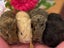 Guinea Pigs for sale Carousel 2