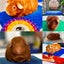 Guinea Pigs for sale Carousel 6
