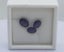 Amethyst oval shaped 3x Carousel 6