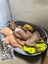 **Kai** Waipa Animal Control Carousel 2