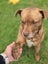 **Kai** Waipa Animal Control Carousel 3