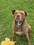 **Kai** Waipa Animal Control Carousel 4