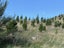 gallery view thumbnail