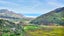 gallery view thumbnail