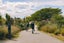 gallery view thumbnail