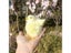 Realistic Soft Plush Chicken Ornament For Home Decoration And Teaching Carousel 7