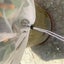 Fruit Fly Net Insect mesh Vegetable Garden Plant Crop Protection Cover Bags Carousel 5
