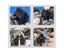 Motorcycle Suspension Strut Separator Tool Kit For Wheels Carousel 4
