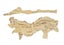 BEEF, SHEEP BUNGS and HOG, SHEEP Casings Carousel 3