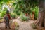 gallery view thumbnail