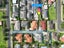 gallery view thumbnail
