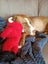 Clay (Ellie's Canine Rescue & Rehome) Carousel 7