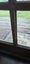 Entry door - 1980(h) x 810(w) - single glazed Carousel 6