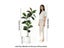3.6Ft Artificial Magnolia Tree For Home Garden Office Decoration Carousel 6