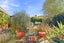 gallery view thumbnail
