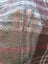 Mohair & Wool Scottish Tartan Throw 165cm x 120cm - $1 Reserve Charity Auction! Carousel 12
